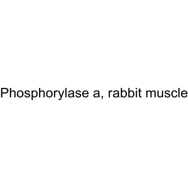 Phosphorylase a, rabbit muscle 9032-10-4